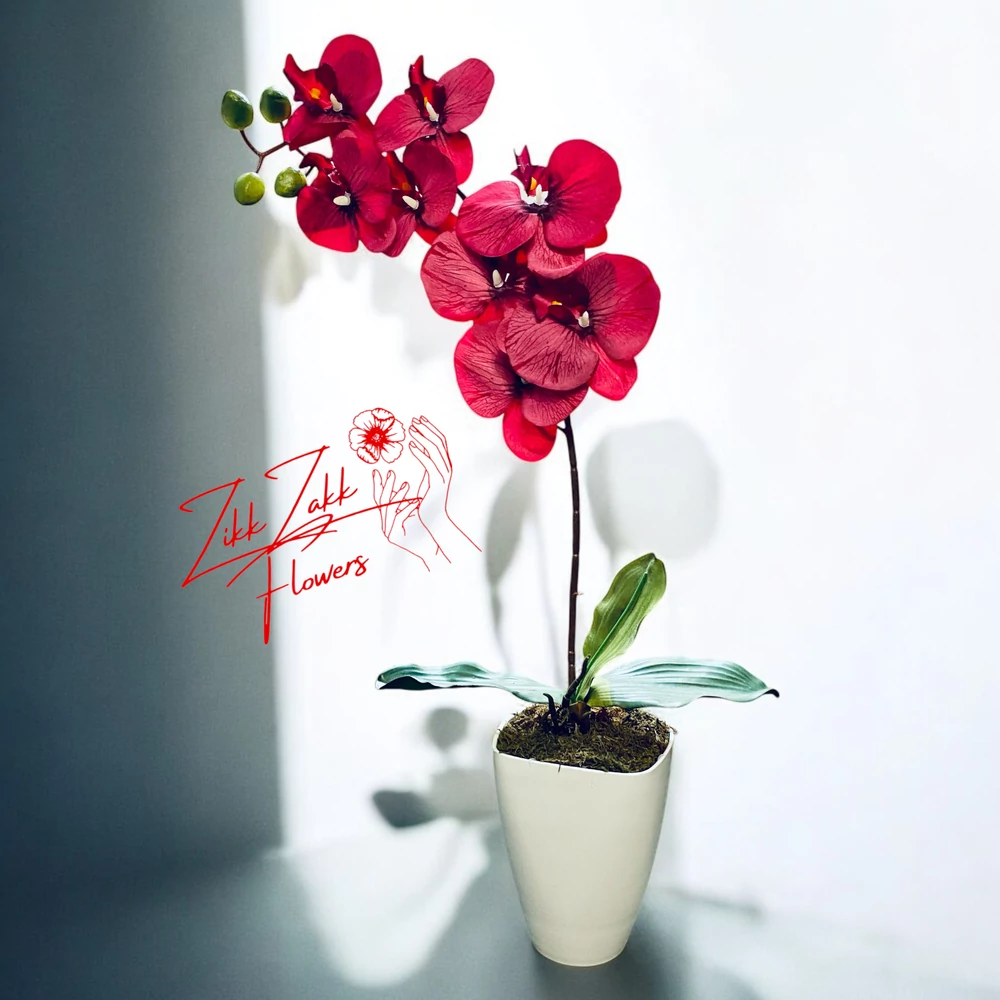 Bordó Orchidea Dísz