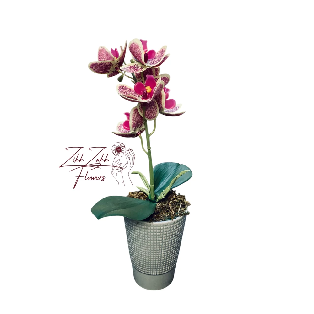 Mintás Orchidea - Stílusos Különlegesség