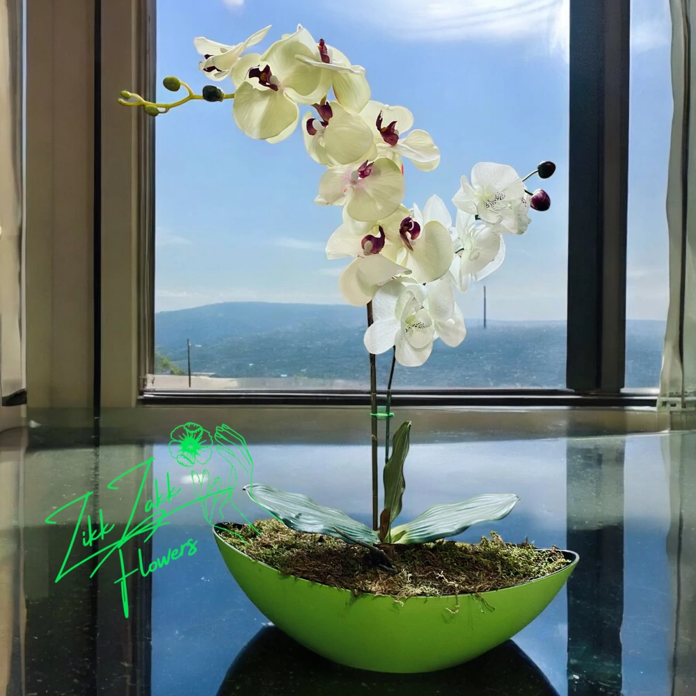 Zöld Orchidea Dísz