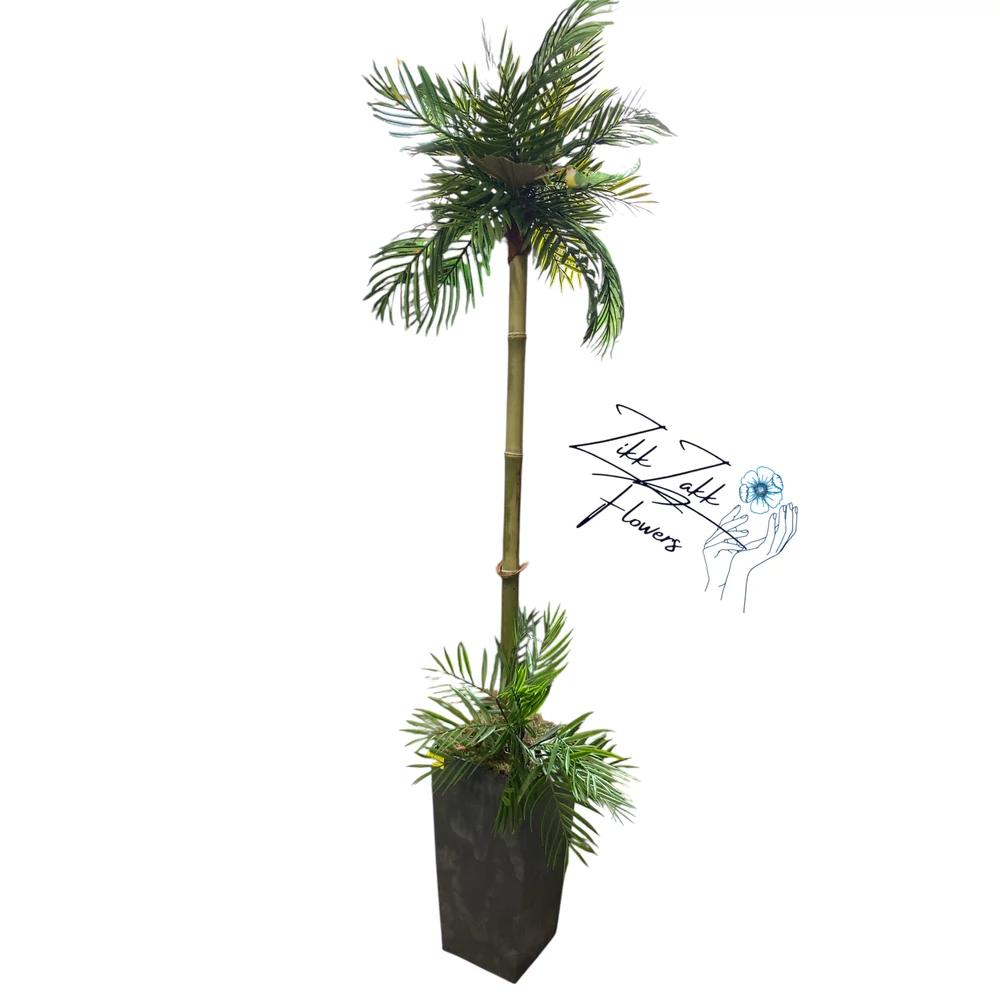 Zikk Zakk Prémium Örök Pálma – 170 cm