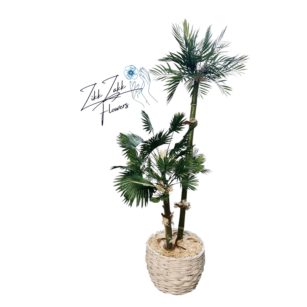 Zikk Zakk Prémium Örök Pálma – 140 cm