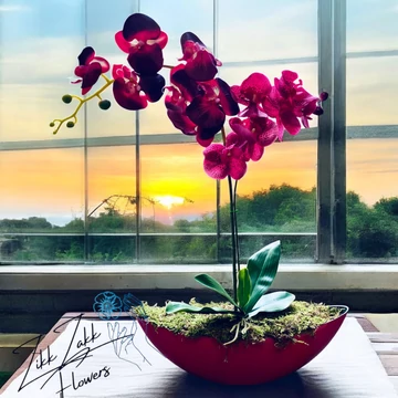 Elegáns vörös orchidea kompozíció