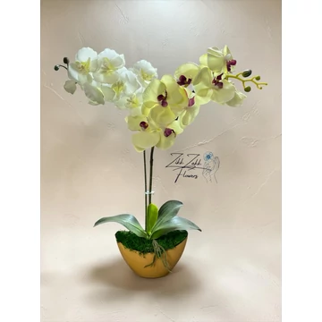 Örök orchidea kompozíció kaspóban – krémfehér