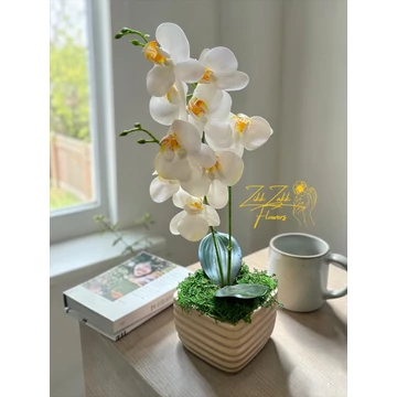 Örök orchidea kompozíció bordázott kaspóban – fehér