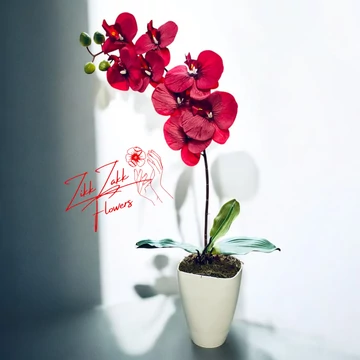 Bordó Orchidea Dísz