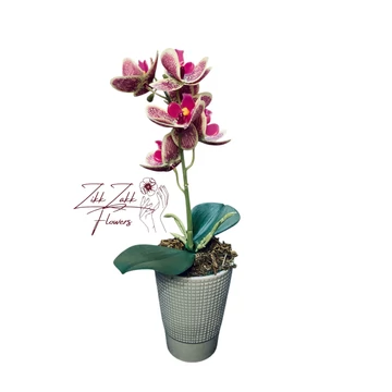 Mintás Orchidea - Stílusos Különlegesség