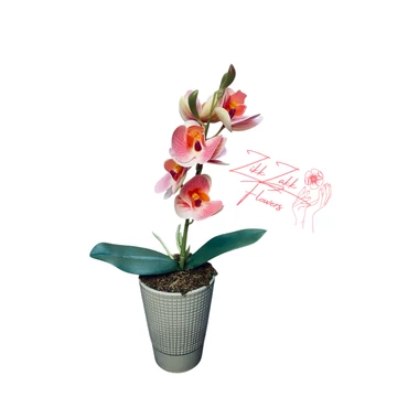 Púder Rózsaszín Orchidea - Kifinomult Elegancia
