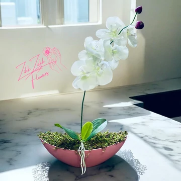 Rózsaszín Orchidea Dísz