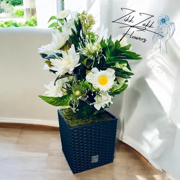 Zikk Zakk Prémium – Fehér Harmónia Kompozíció