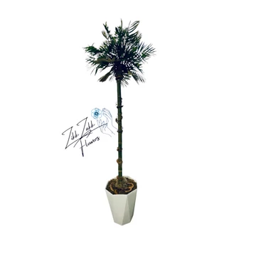 Zikk Zakk „Tropicana” Örök Pálma – 150 cm