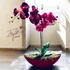 Elegáns vörös orchidea kompozíció