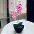Rózsaszín Orchidea - Kifinomult Szépség
