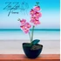 Rózsaszín Orchidea - Kifinomult Szépség