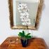 Tiszta Fehér Orchidea - Kifinomult Elegancia
