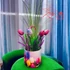 Színes Tulipános Vödör