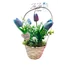 Szivárvány Tulipánkosár