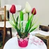 Színes Tulipán Kompozíció