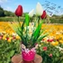 Színes Tulipán Kompozíció