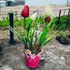 Színes Tulipán Kompozíció