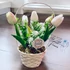 Tavaszi Tulipánkosár