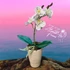 Fehér Orchidea - Elegáns Kifinomultság