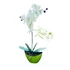 Friss Harmónia Orchidea Kompozíció