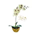 Krém Orchidea Kompozíció