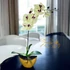 Krém Orchidea Kompozíció