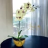 Krém Orchidea Kompozíció