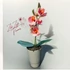 Púder Rózsaszín Orchidea - Kifinomult Elegancia