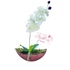 Rózsaszín Orchidea Dísz