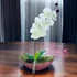 Rózsaszín Orchidea Dísz