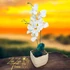 Fehér Orchidea - Tiszta Elegancia