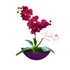 Viola Harmónia Orchidea