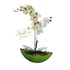 Zöld Orchidea Dísz